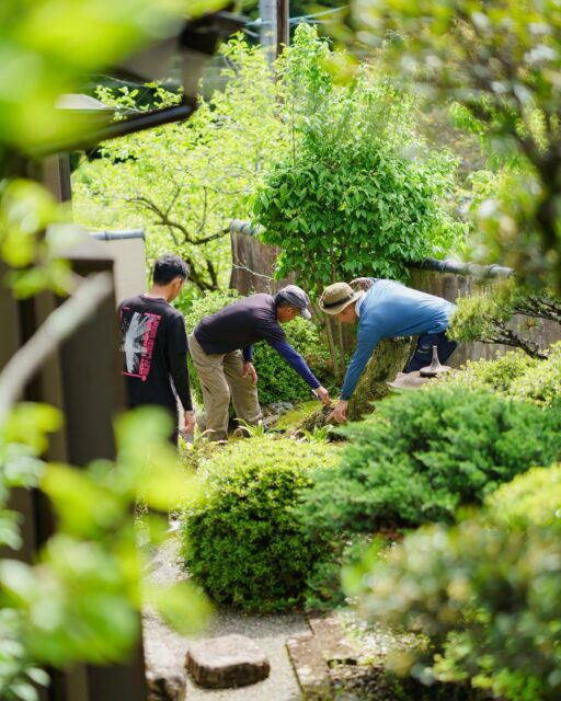 新緑が眩しい季節になりました🌿

新緑を眺めていると、なんだか目が良くなるような気がするのは

私だけでしょうか？

効果はともかく、新緑の庭屋作業風景をお届けします👀✨

まぁ、スマホ越しですけどね😆

ｰｰｰｰｰｰ

庭園管理や庭づくりに関するお問い合わせは
プロフィール欄にあるURLよりお願いいたします。
お庭に関すること、お気軽にご相談ください。
→ @2754z ←

——
#造園 #庭屋 #手に職系 #剪定 #新緑