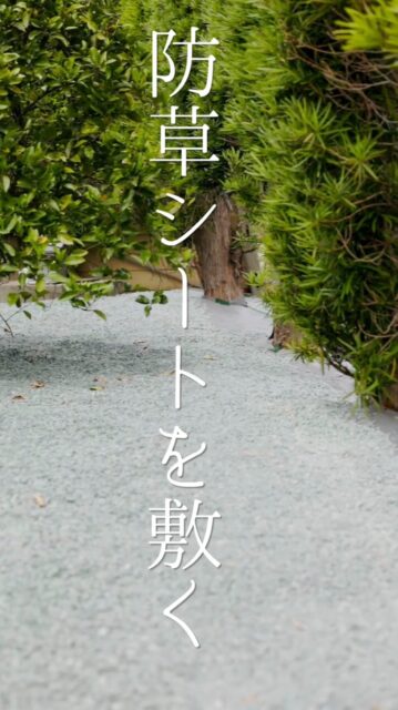 夏が近づいてくると、気になってくるのが…雑草🌱

あぁ、草刈りしなきゃ…  先週草むしったのにもう雑草が…

そんな悩みにさよならする手段として『防草シート』があります。

防草シートを敷いて、上から砕石を入れてしまえば

夏の頭の悩みが少し減るかもしれません🌱

ｰｰｰｰｰ

防草シートの施工や
庭園管理や庭づくりに関するお問い合わせは
プロフィール欄にあるURLよりお願いいたします。
お庭に関すること、お気軽にご相談ください。
→ @2754z ←

——

#浜松 #手に職系 #庭屋 #防草シート #庭づくり