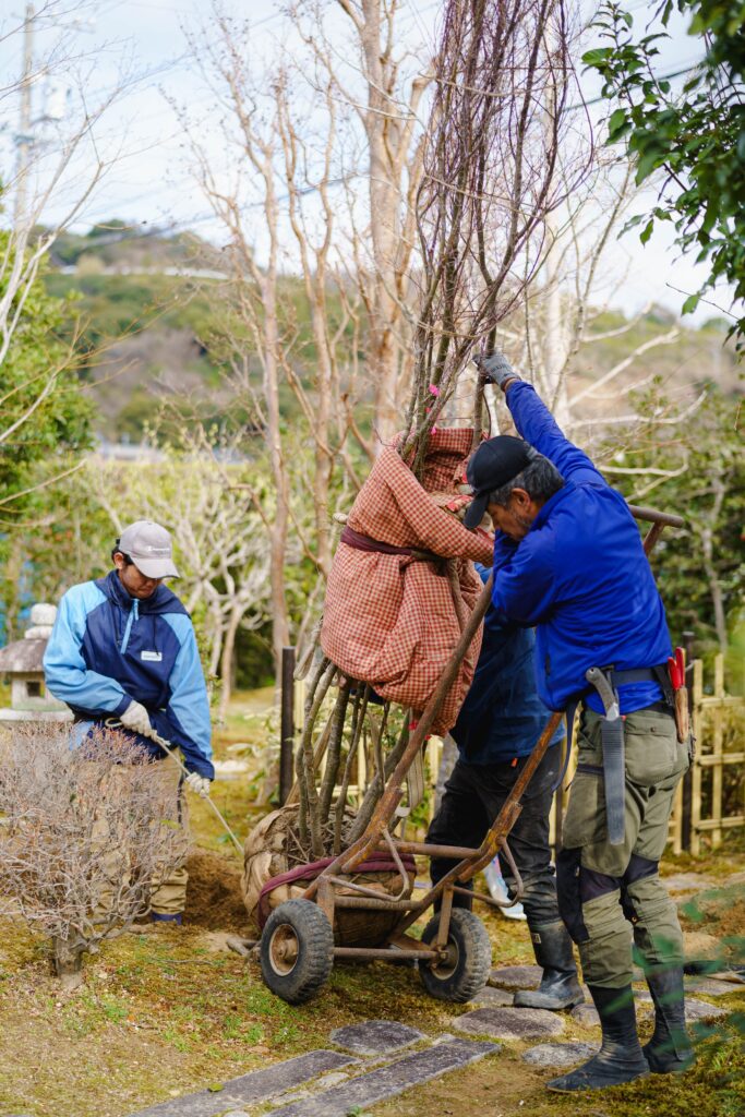 浜松市 正社員求人情報 舩越造園 造園業/庭師/造園師/植木職 - 造園業の醍醐味と安心感の両立。氷河期世代の転職実績も有り。