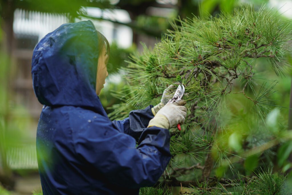 浜松市 正社員求人情報 舩越造園 造園業/庭師/造園師/植木職 - 造園業の醍醐味と安心感の両立。氷河期世代の転職実績も有り。